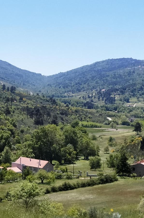 Turismo Rural Macieira Brava Гуарда Экстерьер фото