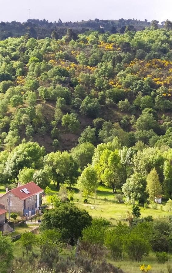 Turismo Rural Macieira Brava Гуарда Экстерьер фото